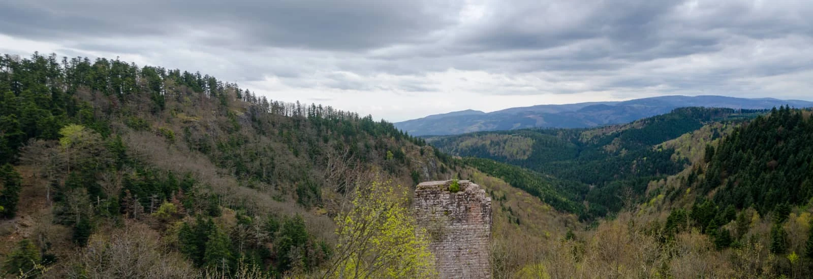 Foulée des Combes — الصورة 1 على 6