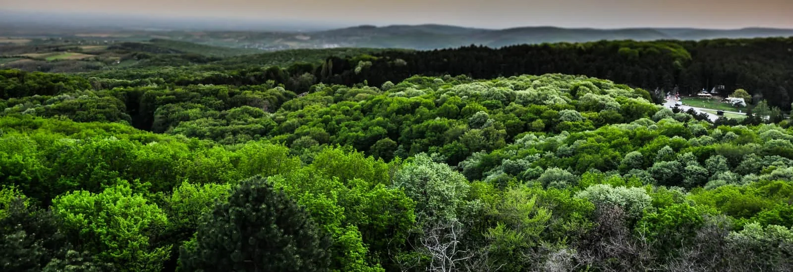 Fruška Gora Trail — imagen 1 de 6