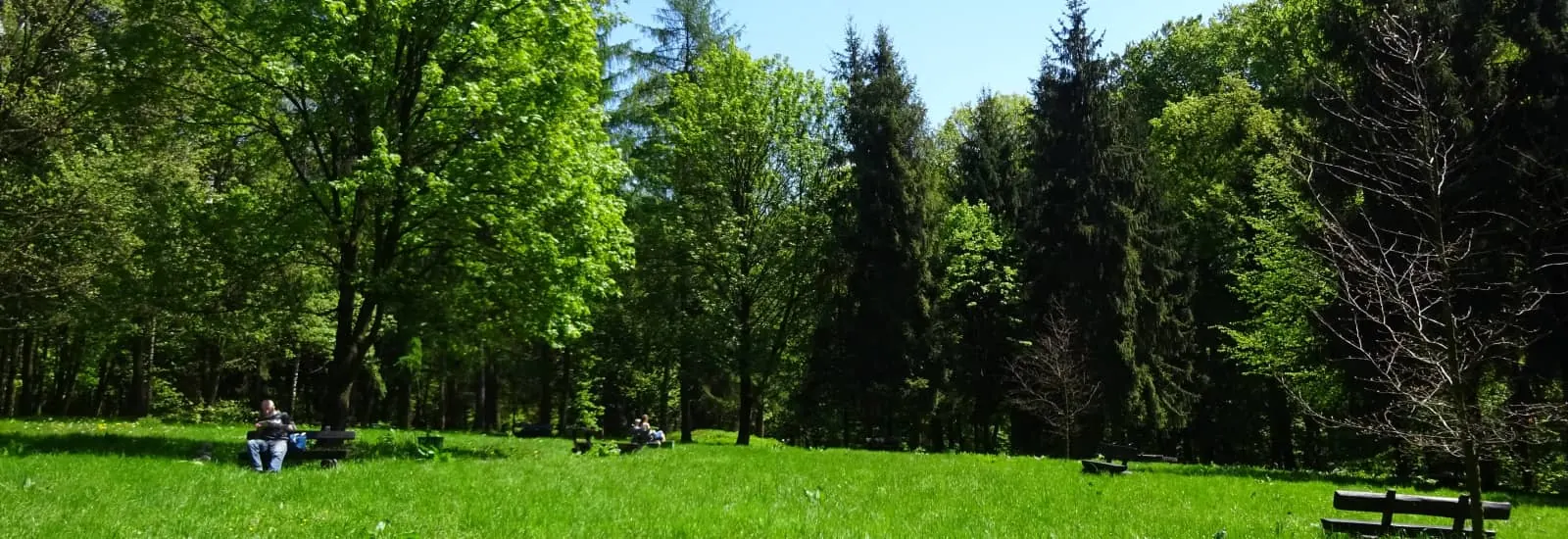 Grand Prix de Cracovie de course en montagne — zdjęcie 1 z 6