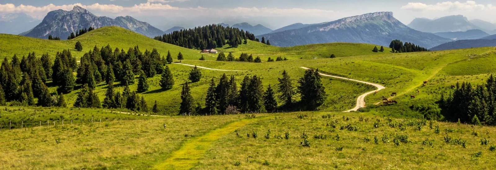 Grand Raid 73 — zdjęcie 1 z 3