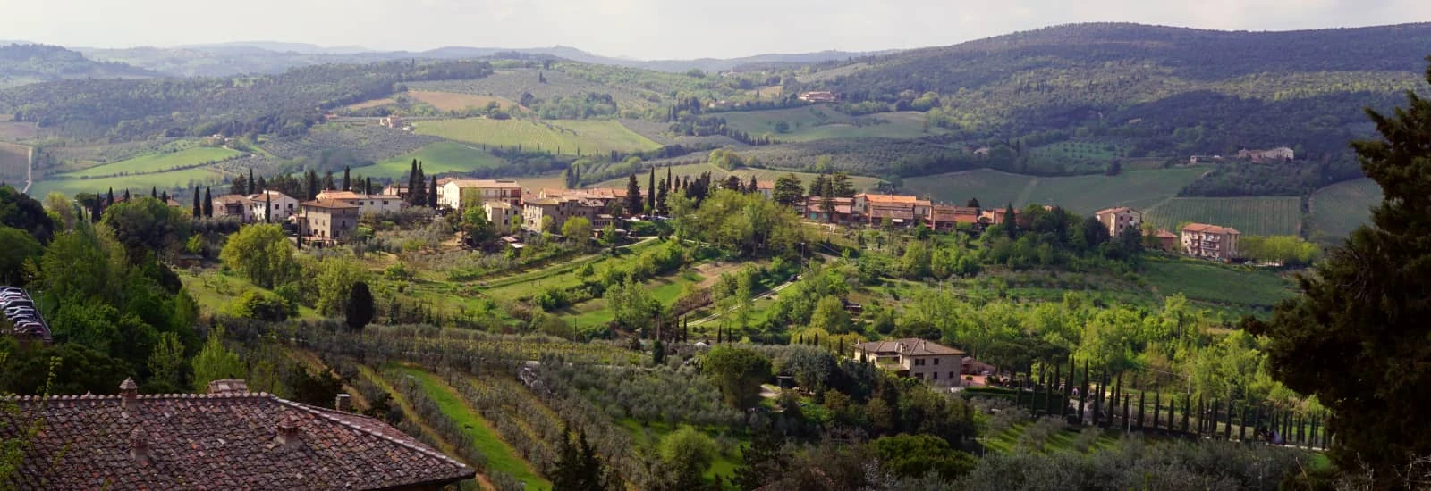 HALF MARATHON CITTA' DI MONTECATINI TERME — image 1 of 3