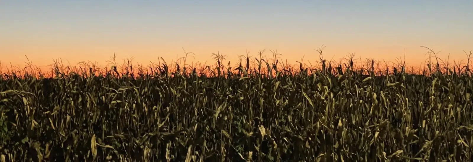Harvest Wind Half Marathon & 10K — image 1 sur 3