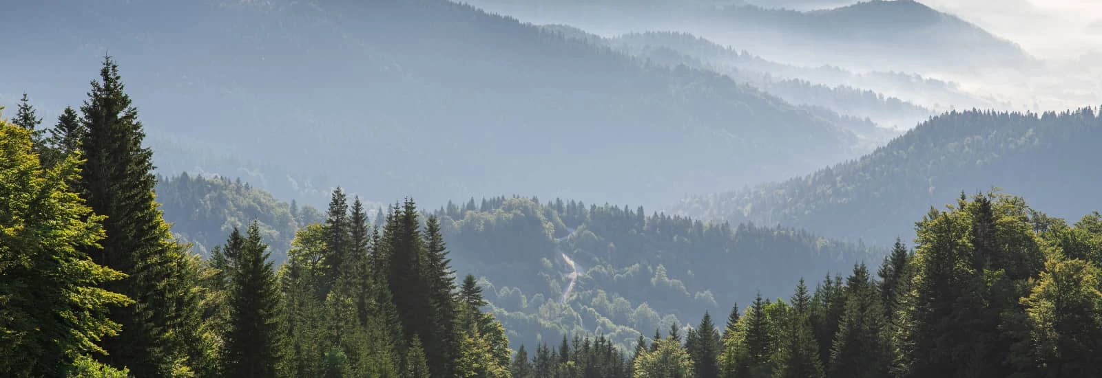 Jahorina Ultra-Trail® — zdjęcie 1 z 5
