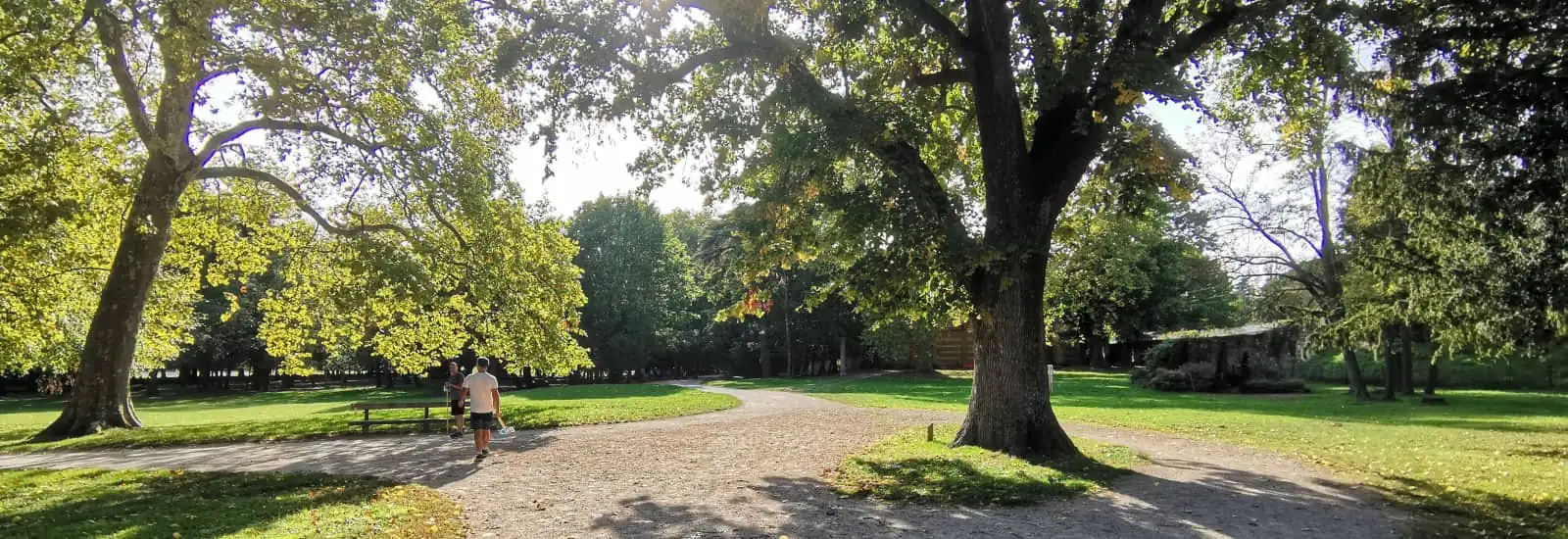 La Beaumontoise — imagen 1 de 3