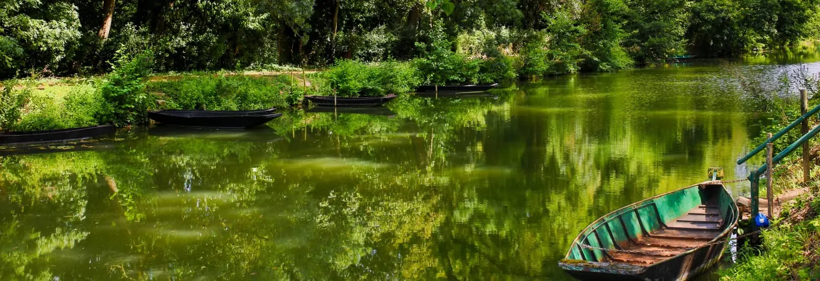 La Courdelaise du Marais Poitevin – Bild 1 von 3
