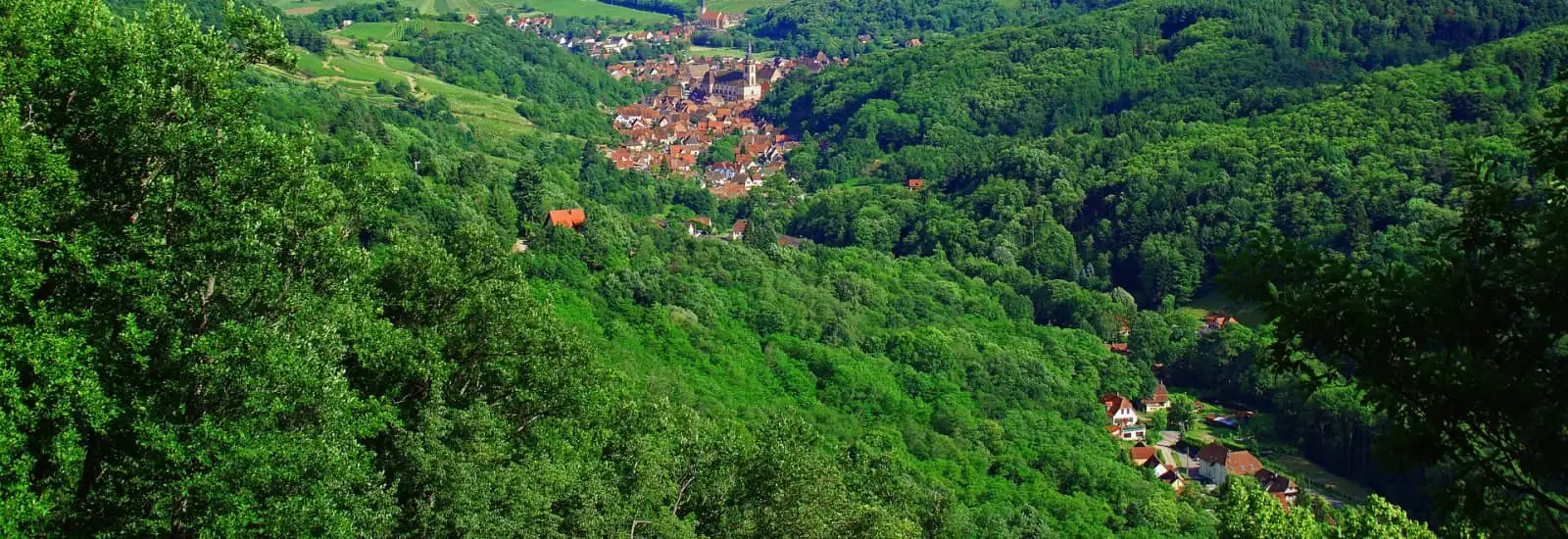 La montée du Wintersberg — zdjęcie 1 z 3