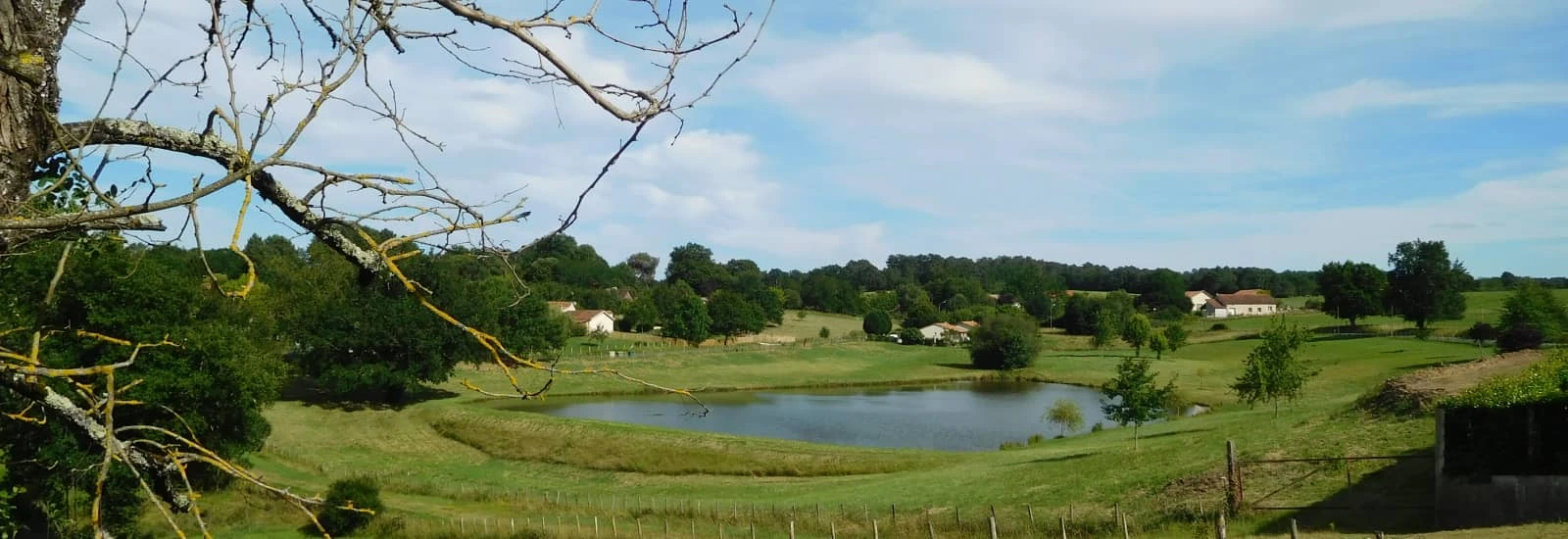 Les foulées du landais — image 1 sur 3