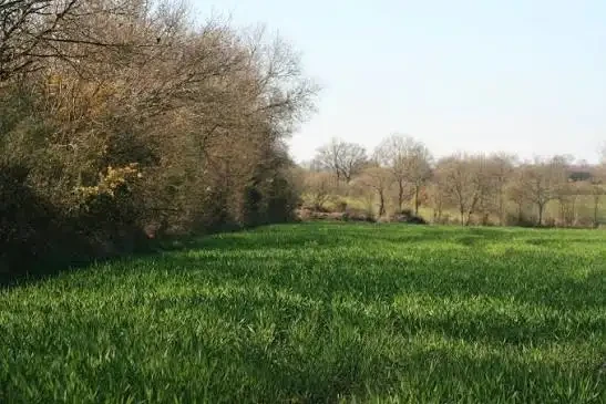 Les Foulées du Sillon De Bretagne — zdjęcie 1 z 3