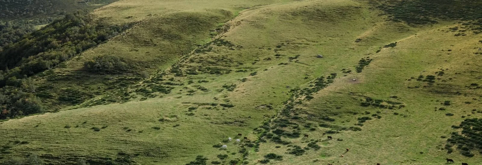 Les Monts du Haut-Livradois — εικόνα 1 από 3