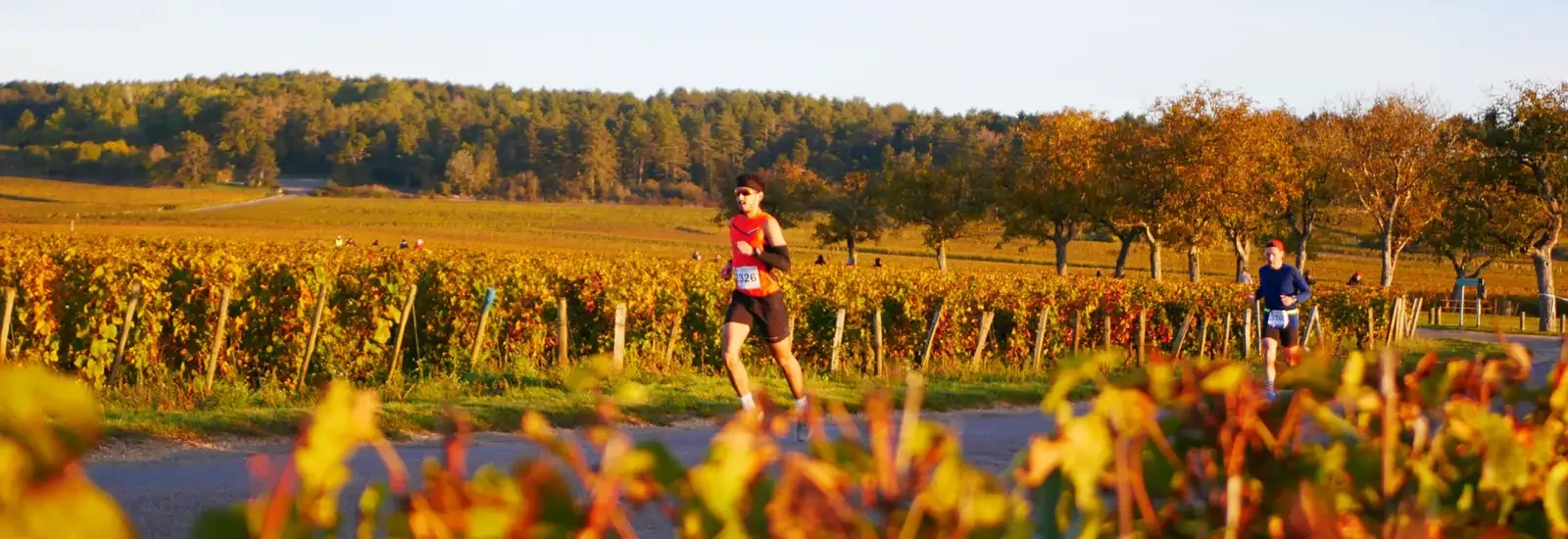 Marathon des Grands Crus — zdjęcie 1 z 11
