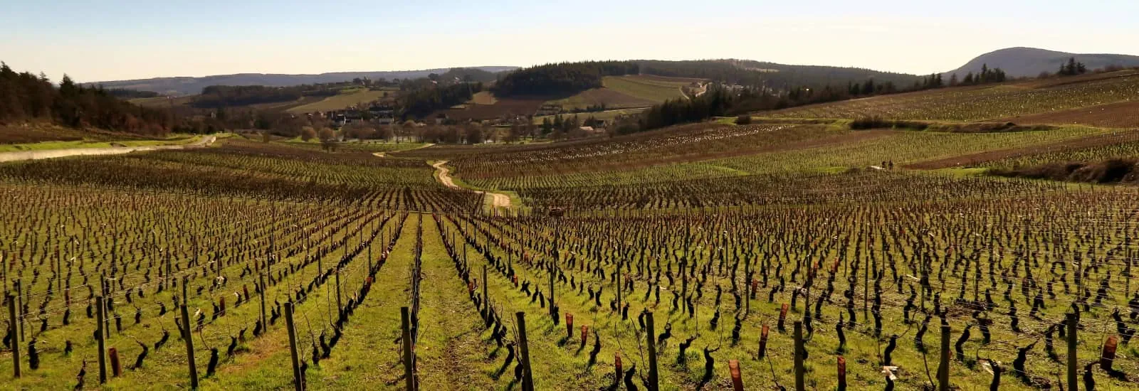 Marathon des Vins de la Côte Chalonnaise — zdjęcie 1 z 3