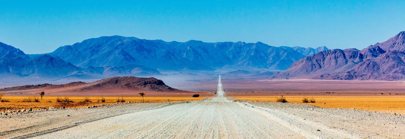 Namib Race by RacingThePlanet — zdjęcie 1 z 3