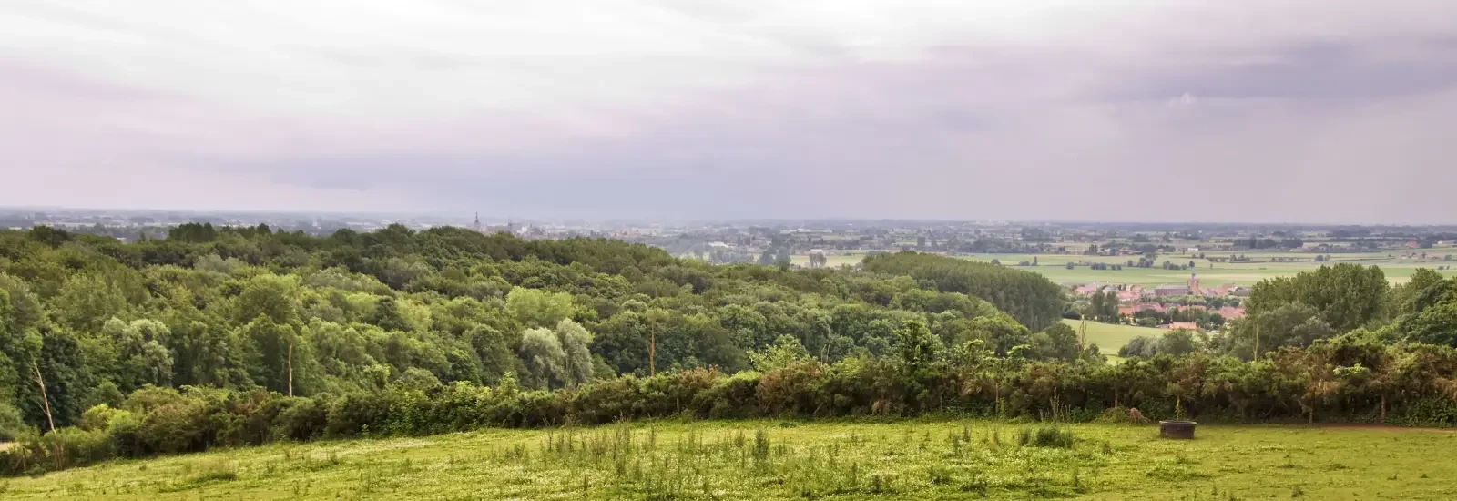 Nord Trail Monts de Flandres (NTMF) — image 1 sur 3