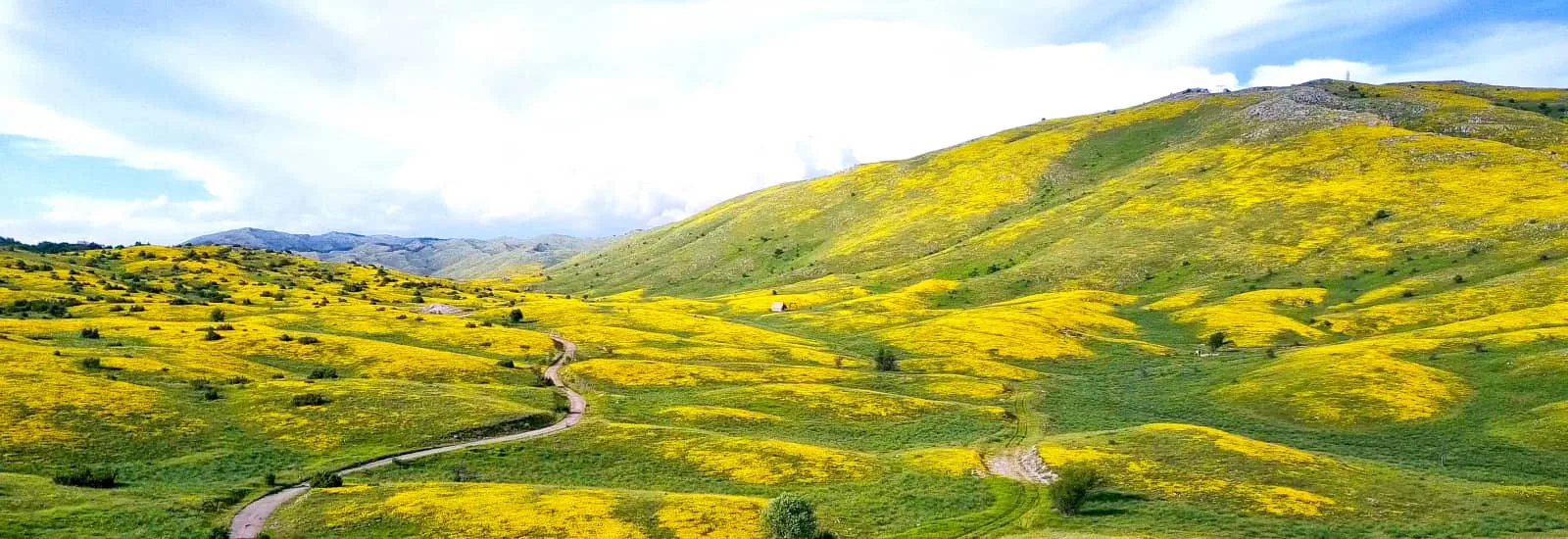 Ohrid Ultra-Trail — 3 1. kép