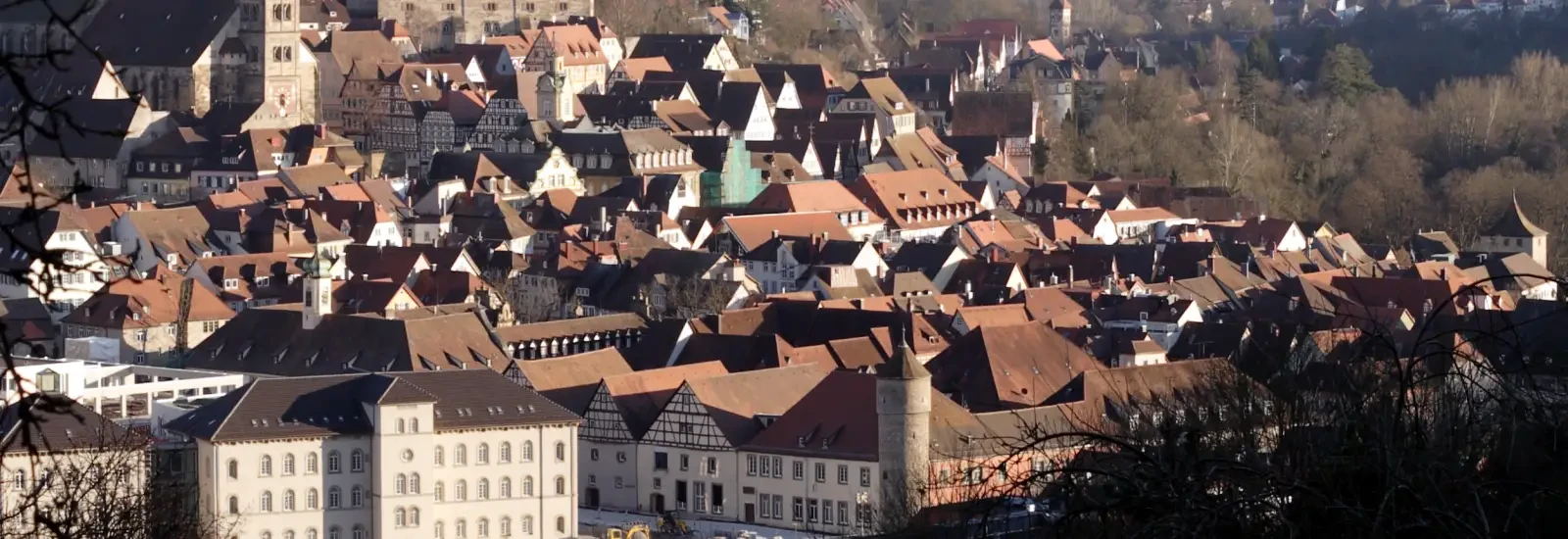 OPTIMA Dreikönigslauf de Schwäbisch Hall — zdjęcie 1 z 6