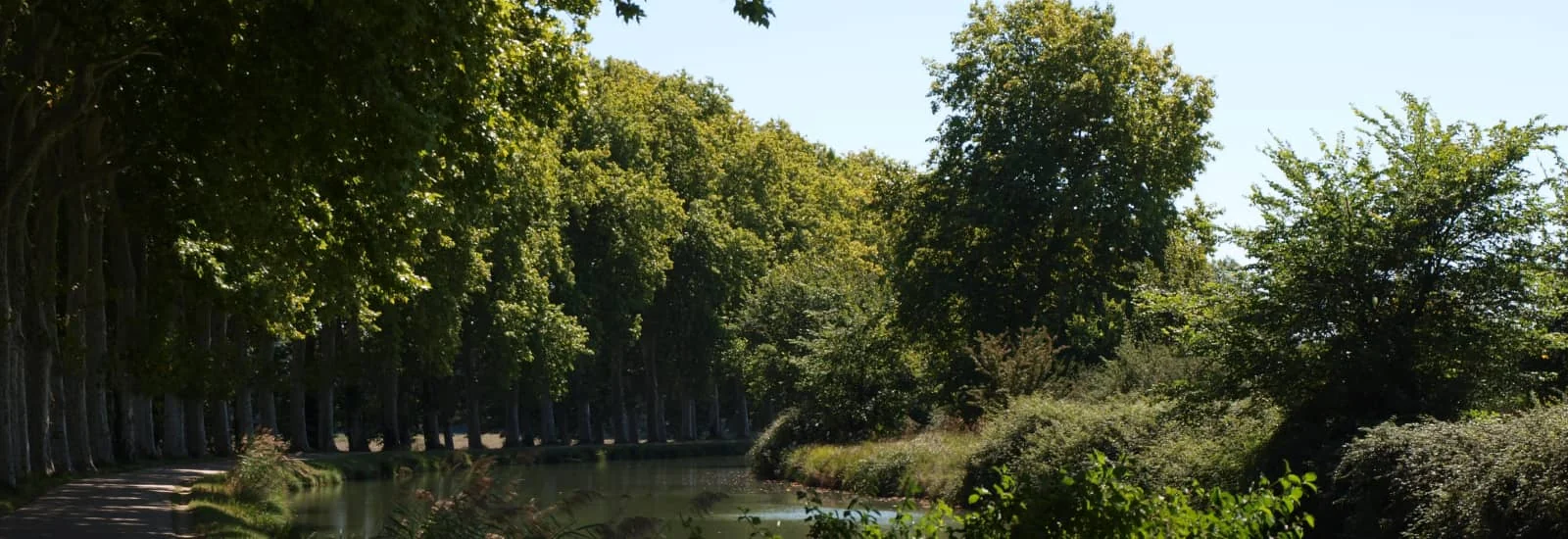 Run & bike Pechabou — bild 1 av 6