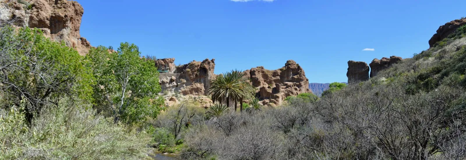 San Tan Scramble — image 1 sur 3
