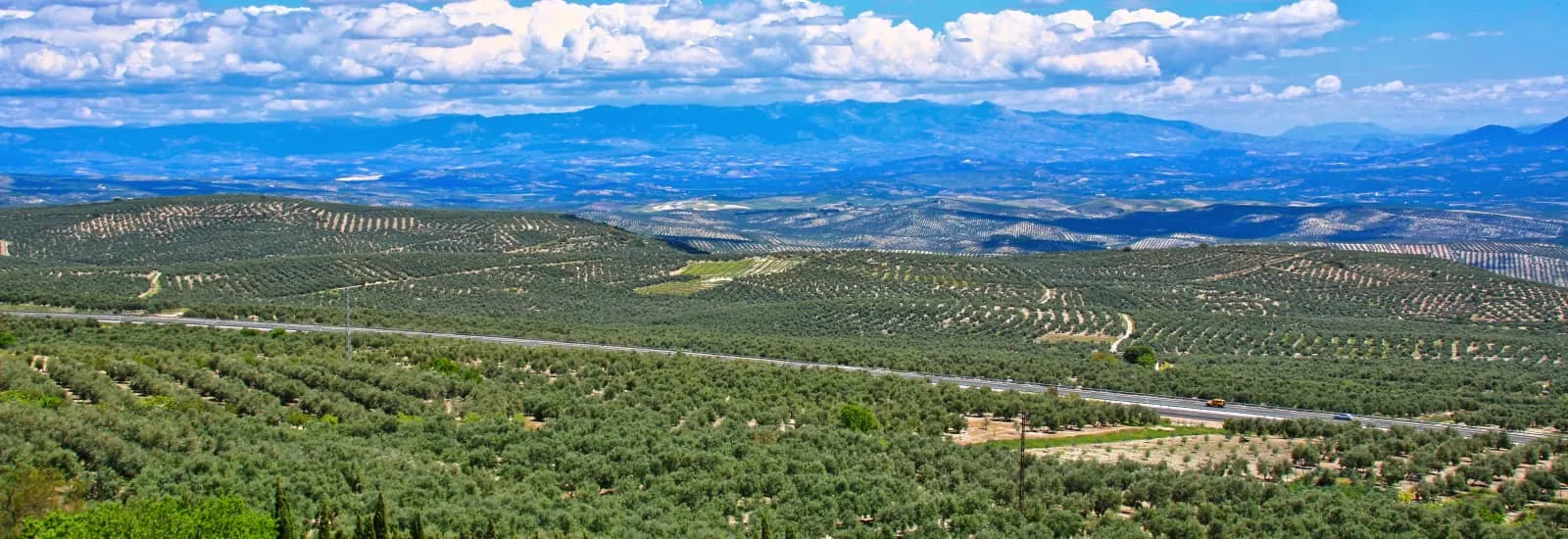 Semi-Marathon Arcos de la Frontera — obrázek 1 z 3
