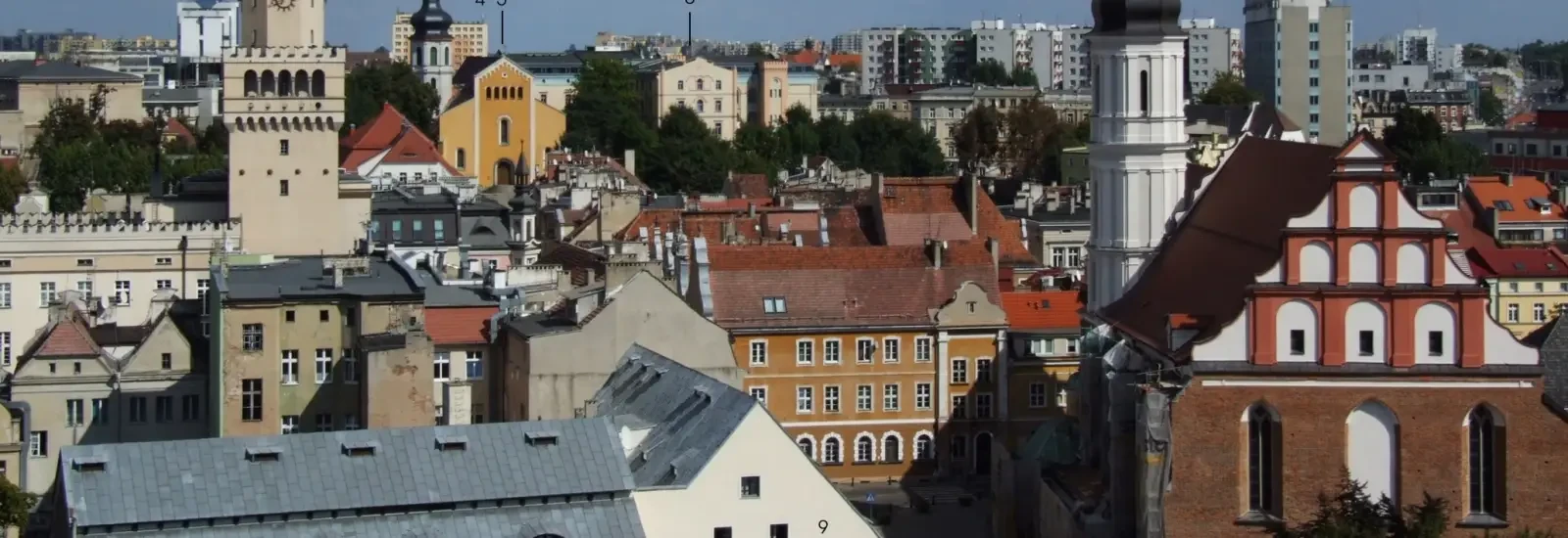 Semi-marathon d’Opole — zdjęcie 1 z 6