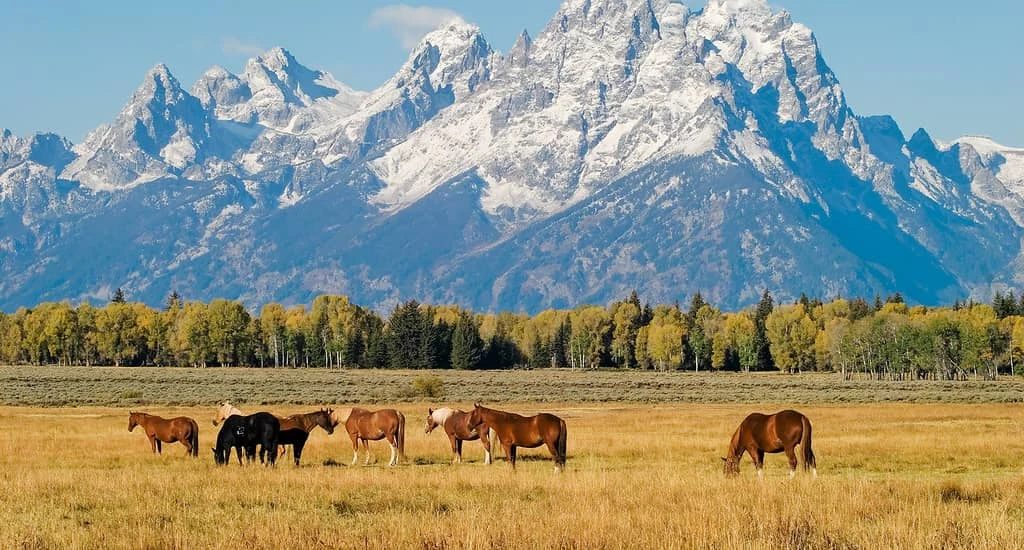 Semi-Marathon de Grand Teton — छवि 1 3 की