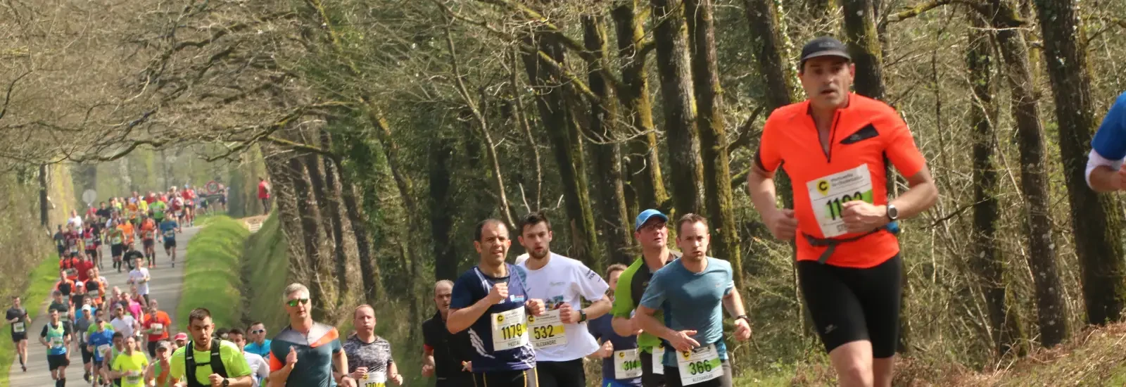 Semi-Marathon du Massif Forestier de Nuaillé — zdjęcie 1 z 3