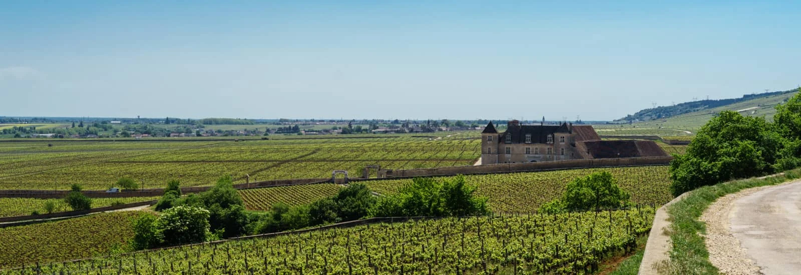 Semi-Marathon Vente des Vins de Nuits Saint George — image 1 sur 3