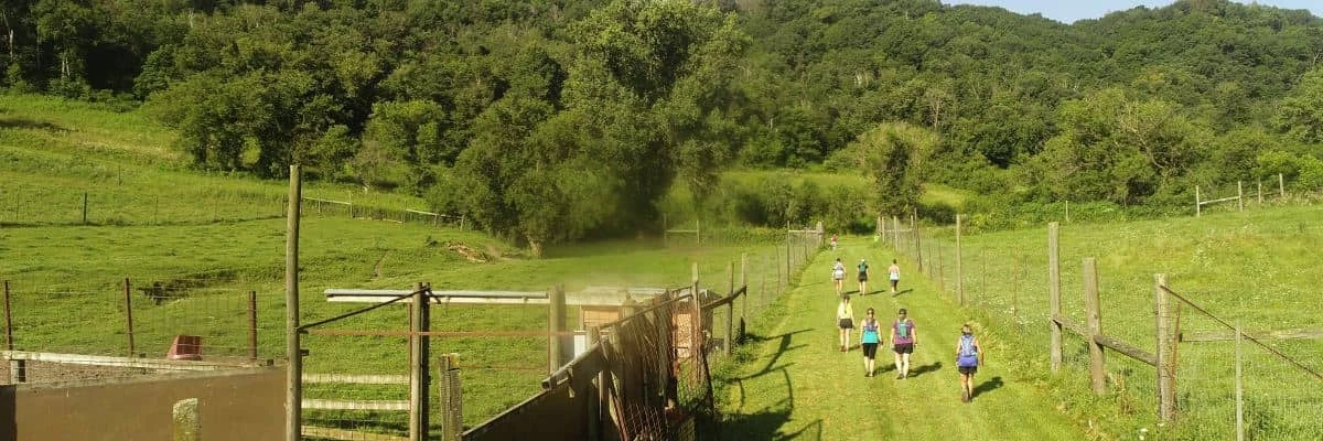 Storm the Farm – Bild 1 von 3