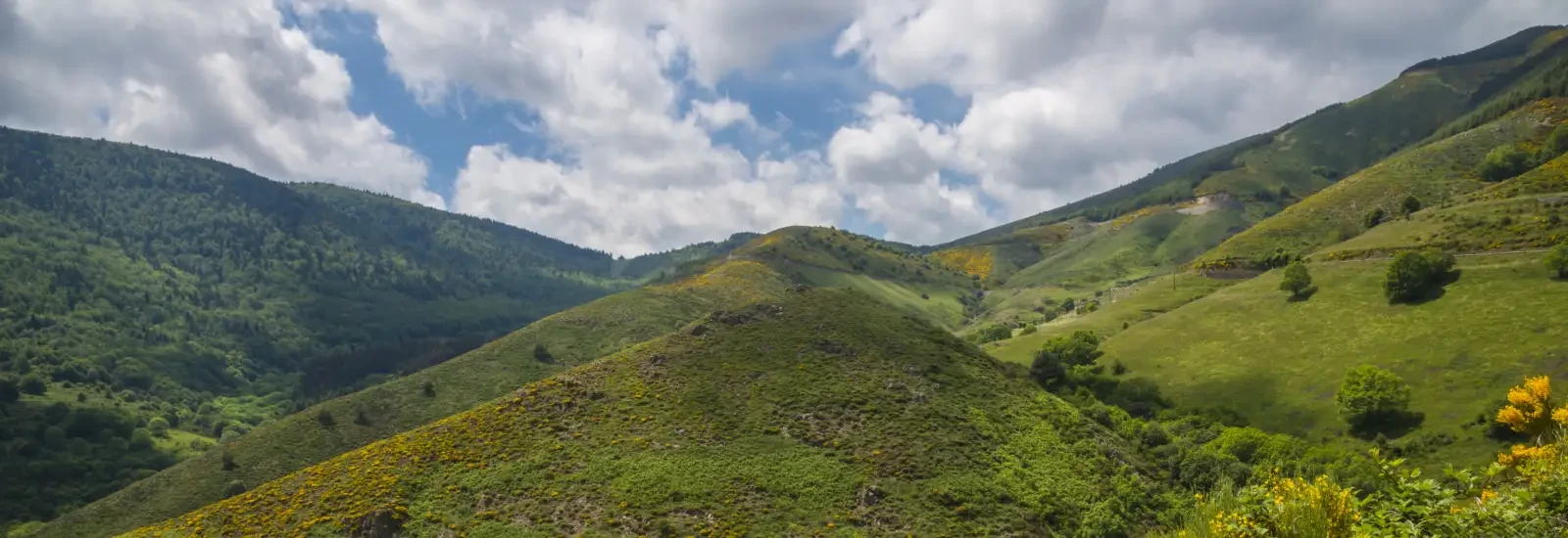Taranis Arga Trail, Joannas