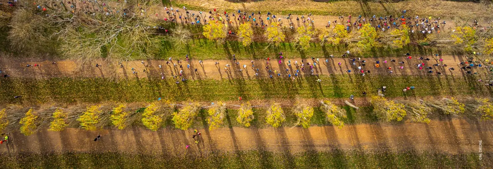 Touroparc Run — image 1 sur 6