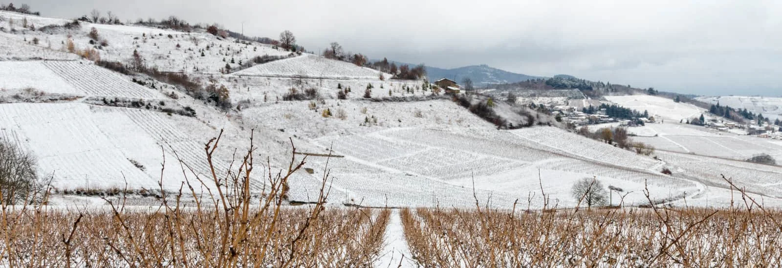 Trail d'Avenas — zdjęcie 1 z 3