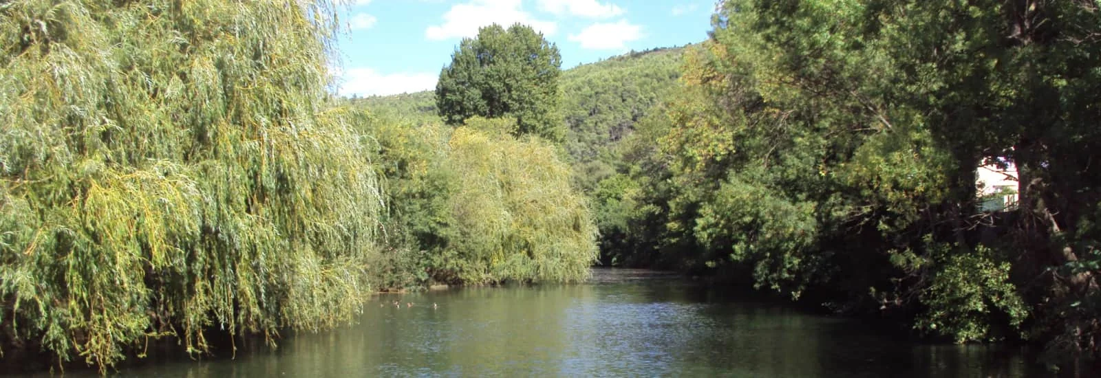 Trail de bize minervois — الصورة 1 على 3