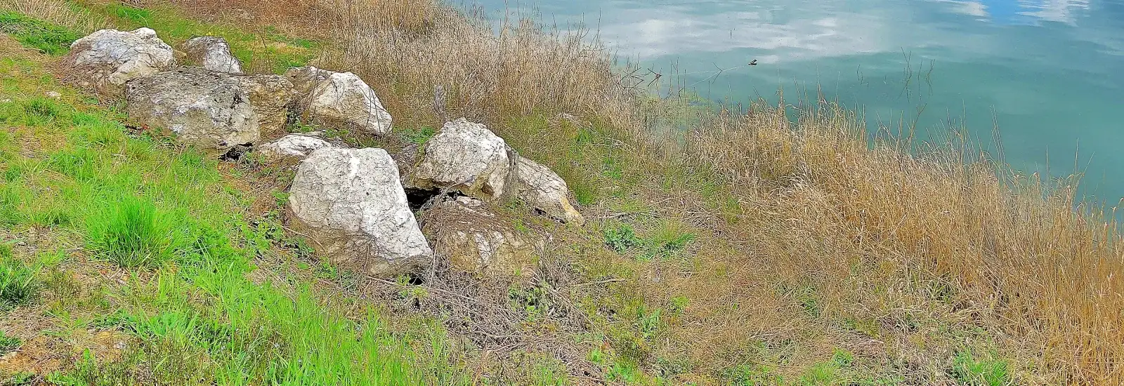 Trail de la liez — obrázek 1 z 3
