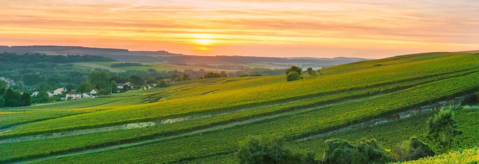 Trail de la Montagne de Reims — zdjęcie 1 z 3