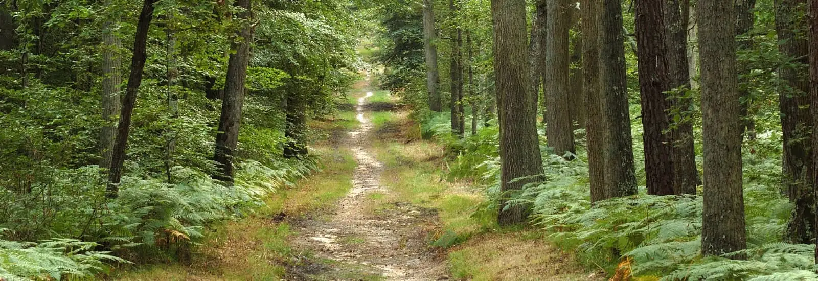Trail de la Pierre qui Tourne — image 1 sur 3