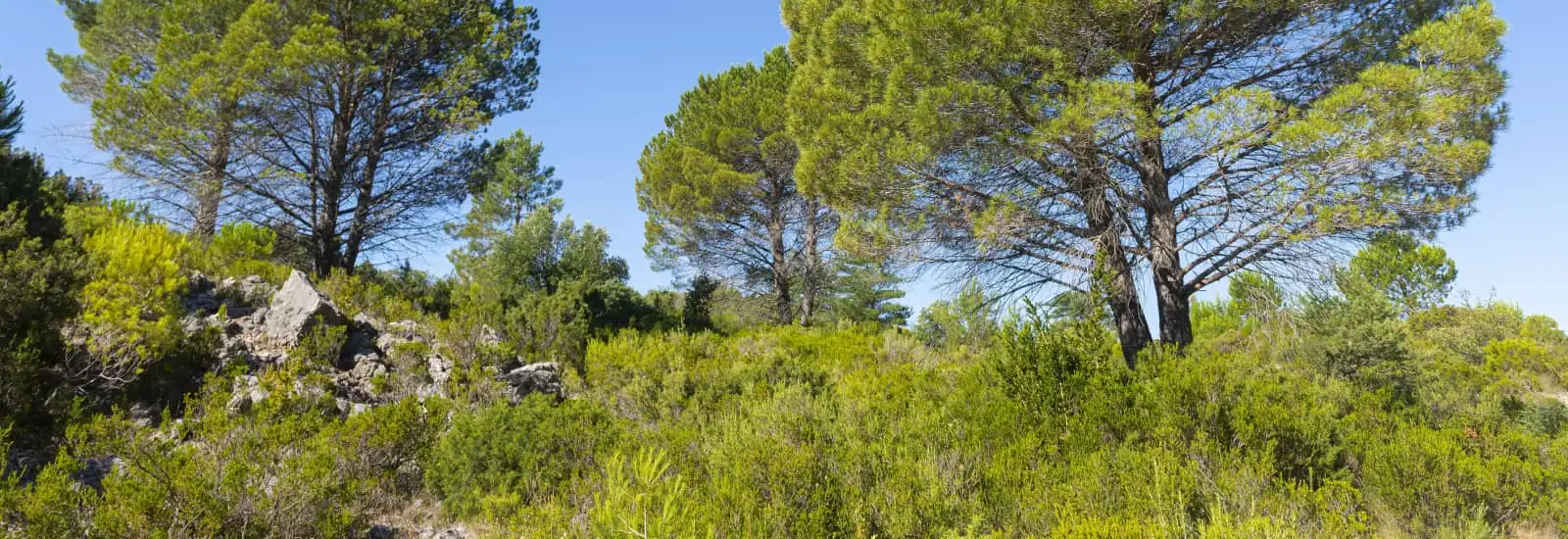 Trail de Pignan — obrázek 1 z 3