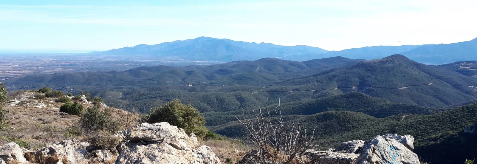 Trail des Aspres — image 1 sur 3