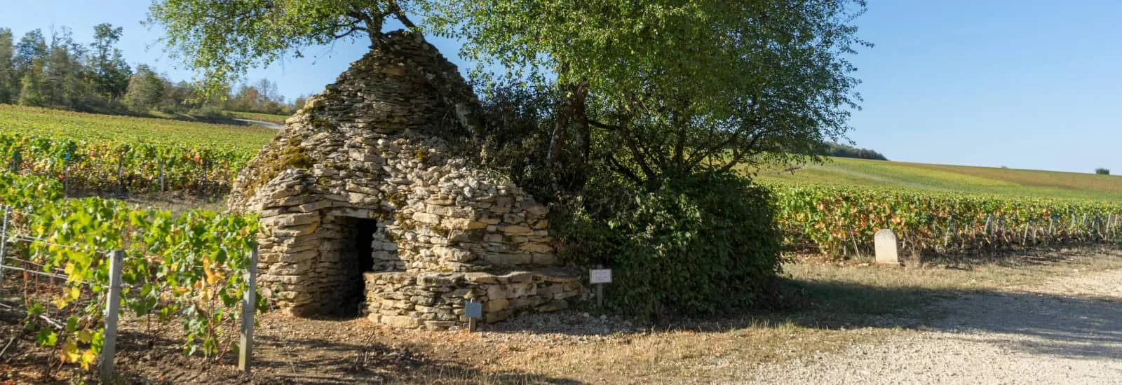 Trail des Cadoles — zdjęcie 1 z 3