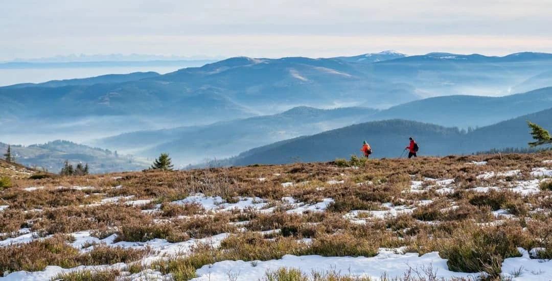 Trail des Callunes — 3의 이미지 1