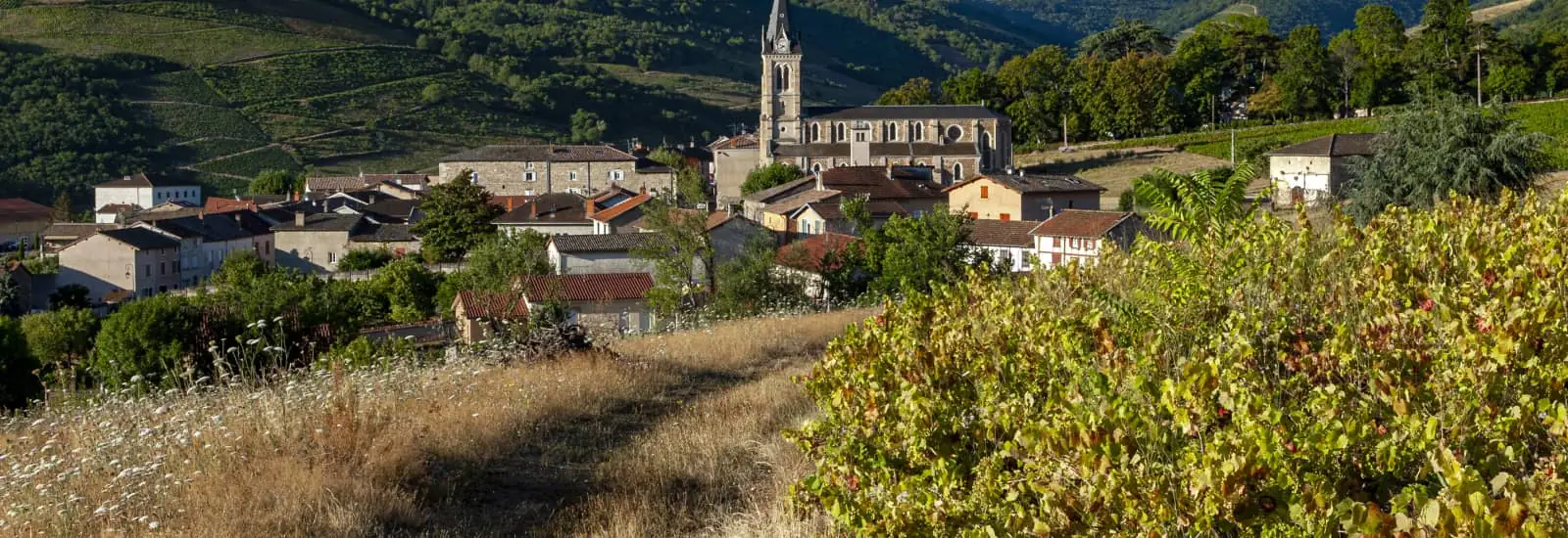 Trail des Grisemottes — image 1 sur 6