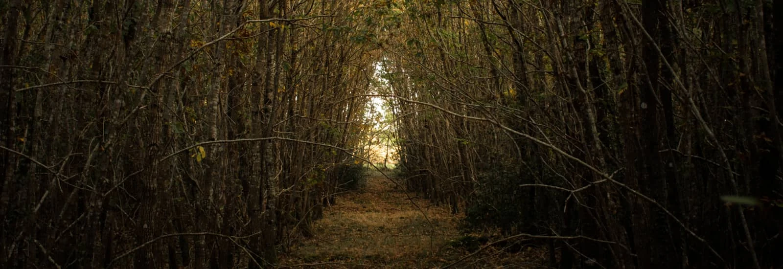 Trail des Moulins — zdjęcie 1 z 3