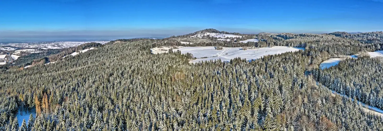 Trail des Premiers Sapins — छवि 1 6 की