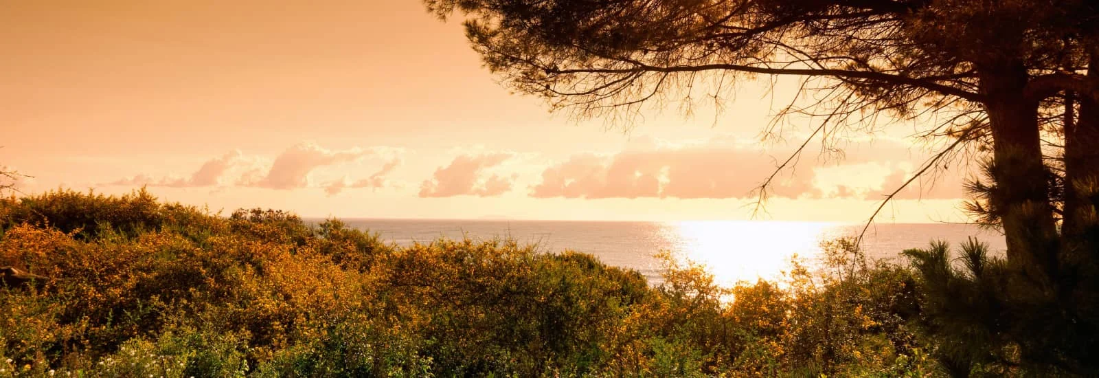 Trail Di Sant'Appianu — zdjęcie 1 z 3