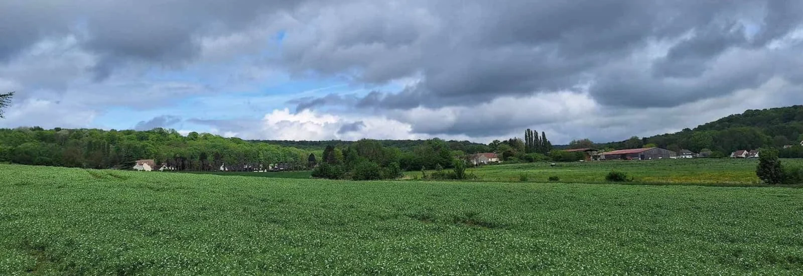 Trail du Bois des Côtes — imagen 1 de 3