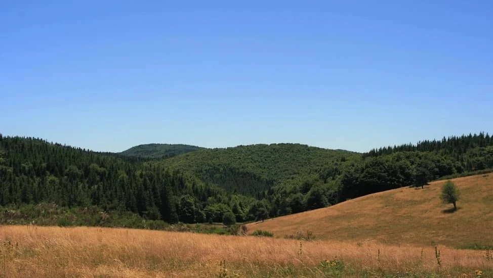 Trail du Mont-Aigoual — obrázek 1 z 3