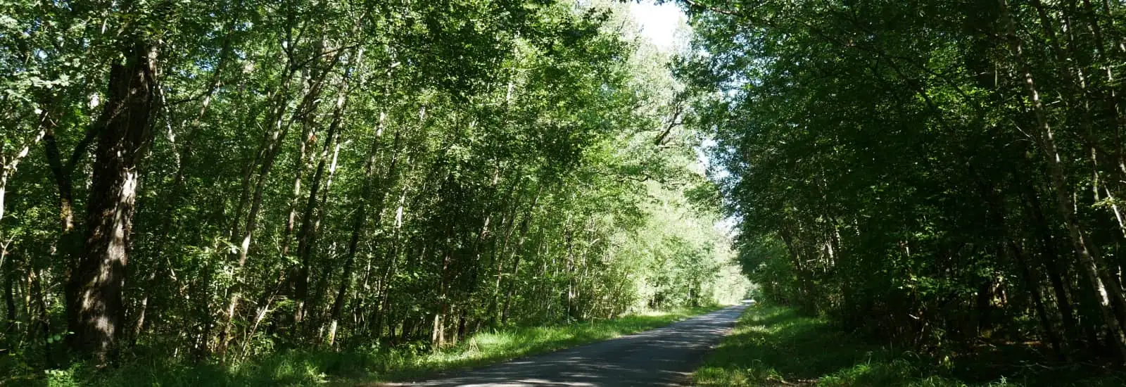 Trail du Montmorélien — εικόνα 1 από 3