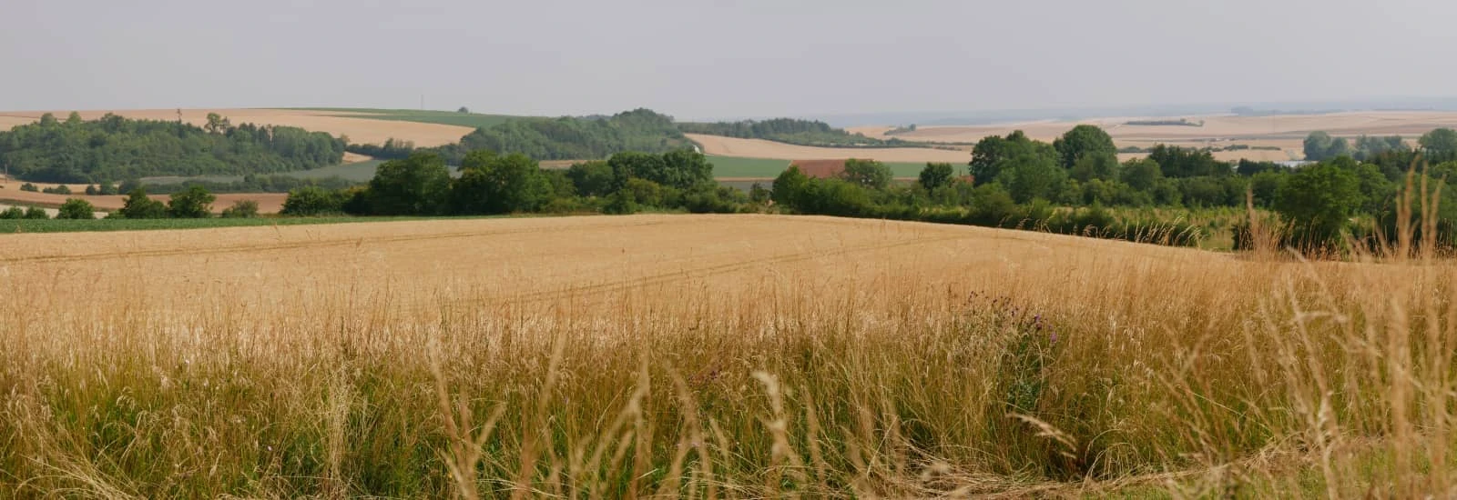 Trail du Pays d'Argonne — image 1 sur 3