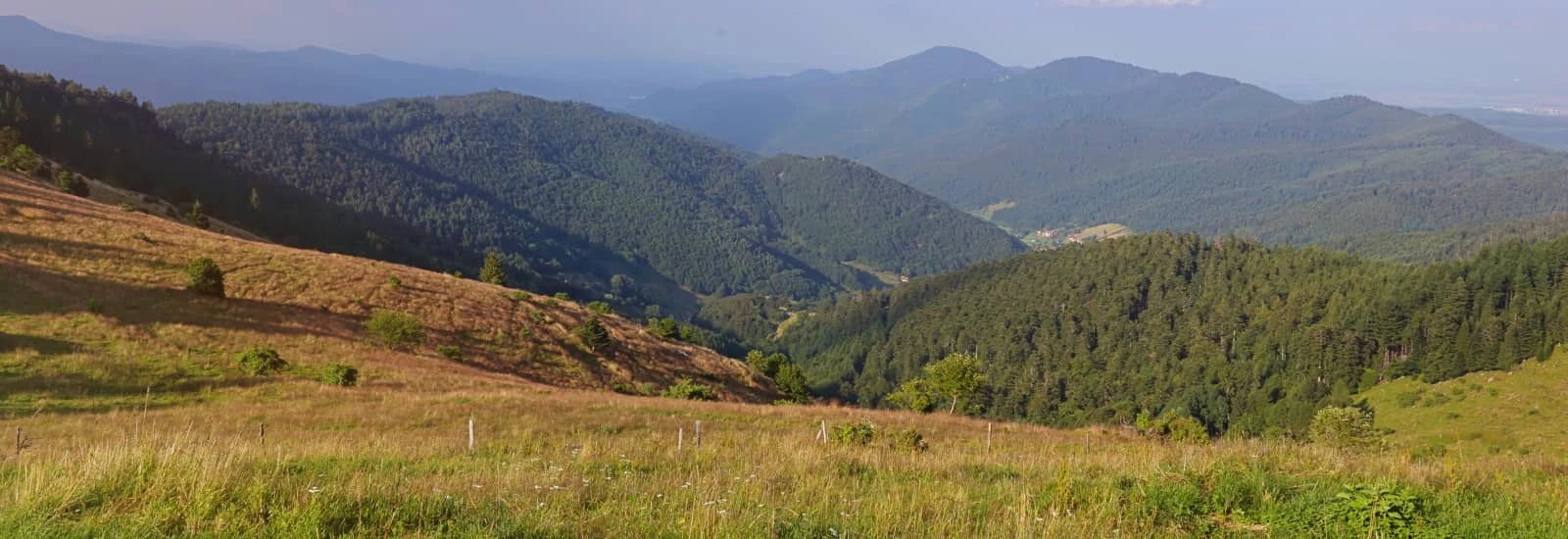 Trail du Petit Ballon et Circuit des Grands Crus — zdjęcie 1 z 3