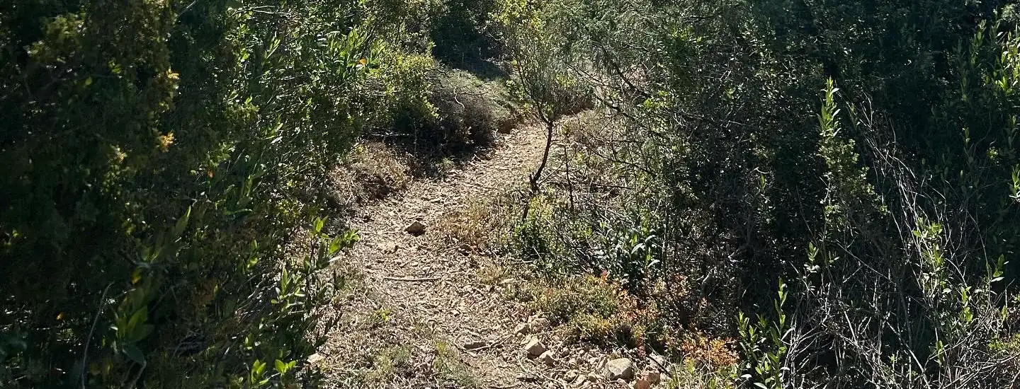 Trail Nature Entre Save Et Galop — image 1 sur 3