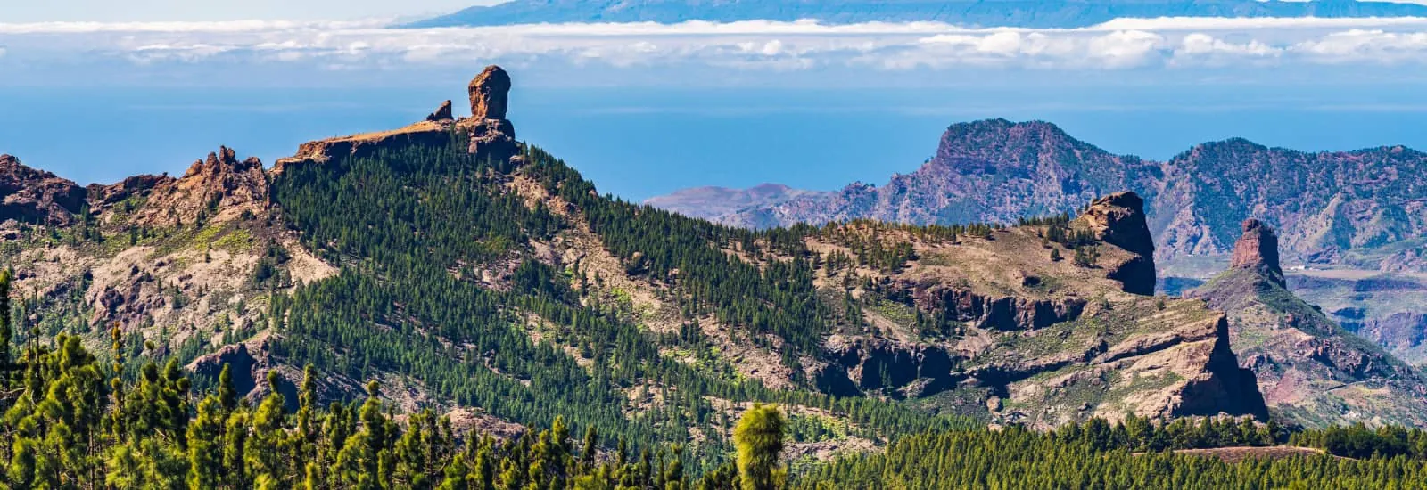 Transgrancanaria HG — zdjęcie 1 z 9