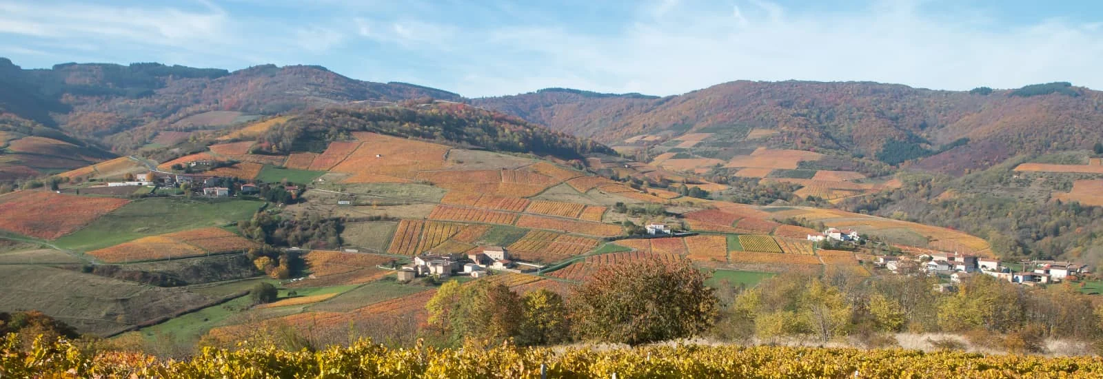 Ultra Beaujolais Villages Trail — zdjęcie 1 z 3